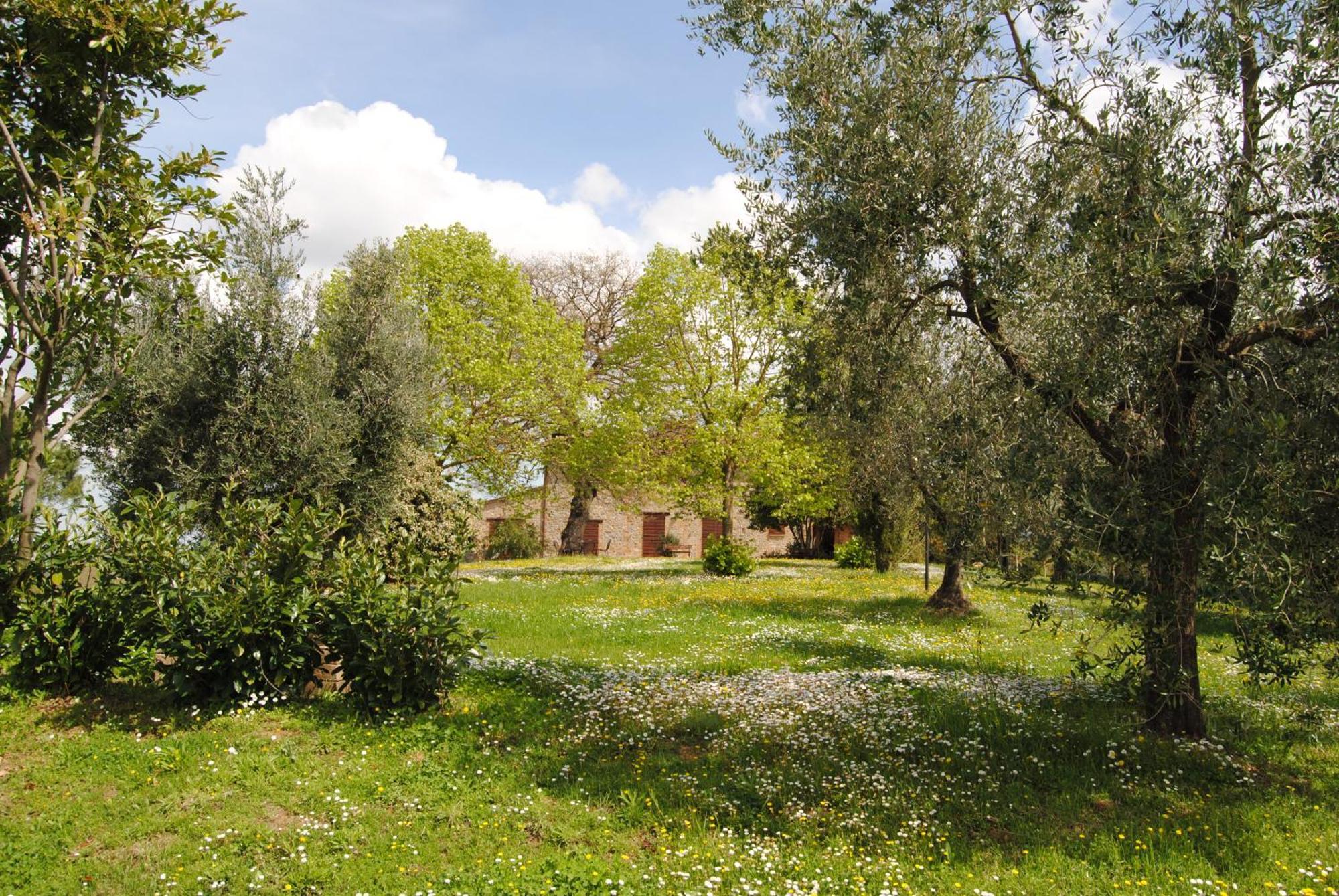 Agriturismo Cornieto Monteleone dʼOrvieto Exterior foto